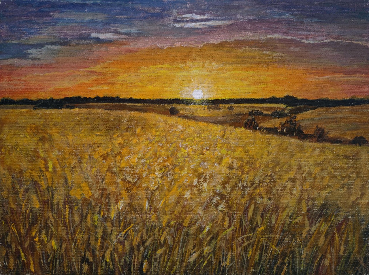 Закат над пшеничным полем