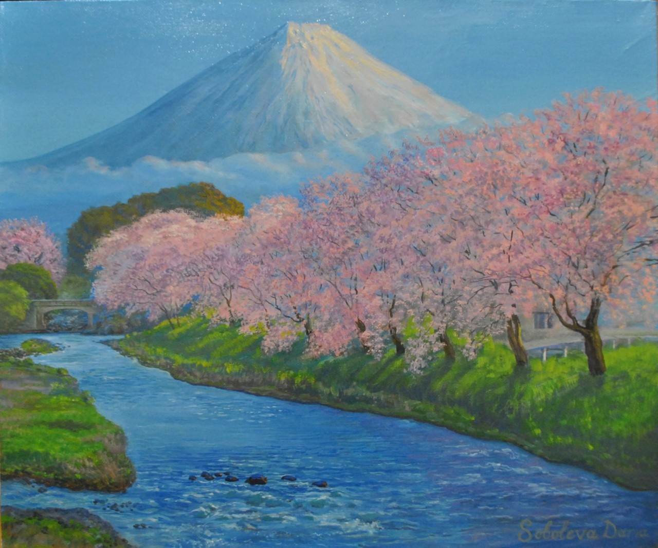 Гора и цветущие сакуры 