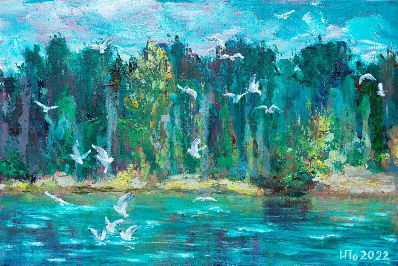 Чайки на реке
