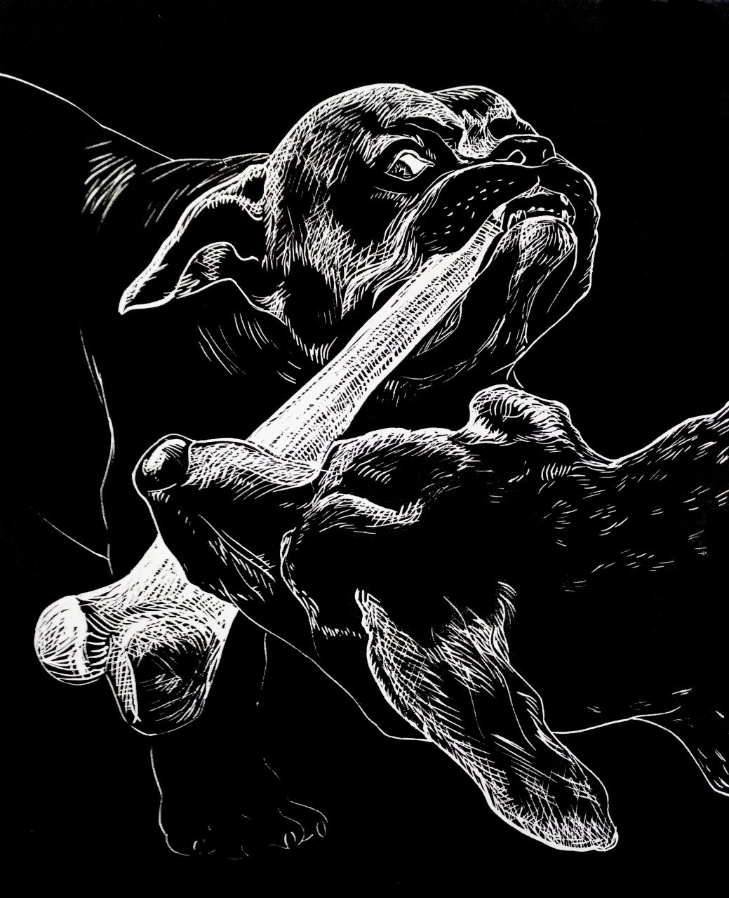 Иллюстрация к басне И. А. Крылова "Собачья дружба"