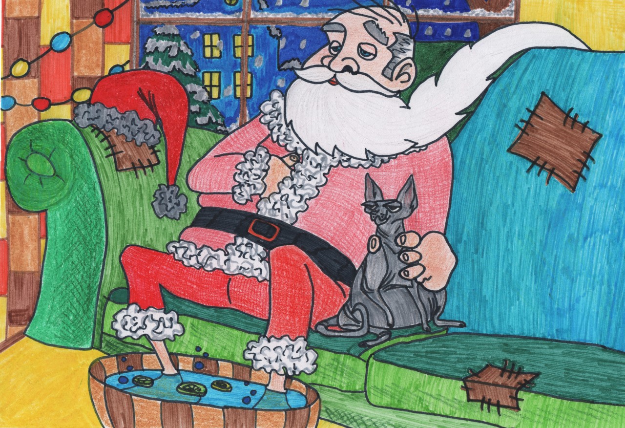 Встреча Деда Мороза с кошкой Дуней!