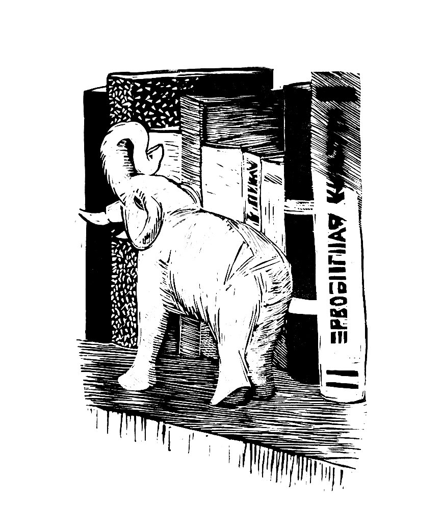 Натюрморт на книжной полке. Большой слон