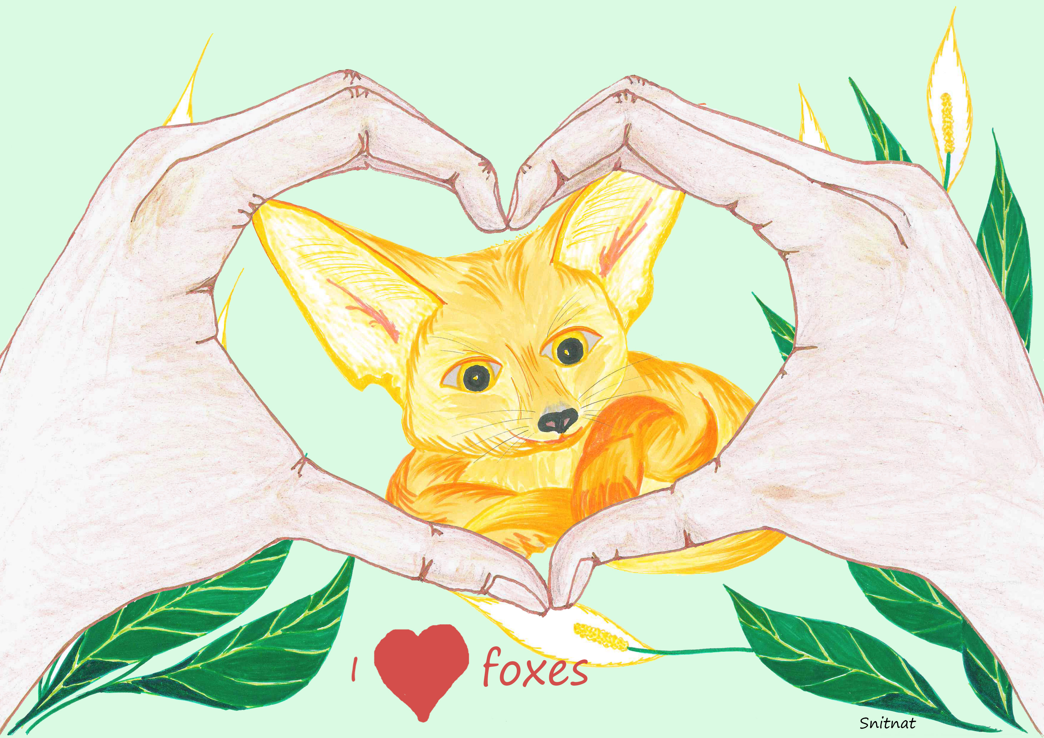 I love foxes