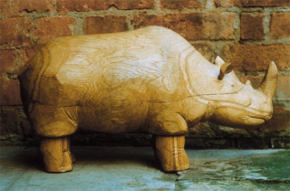 Дубовый носорог