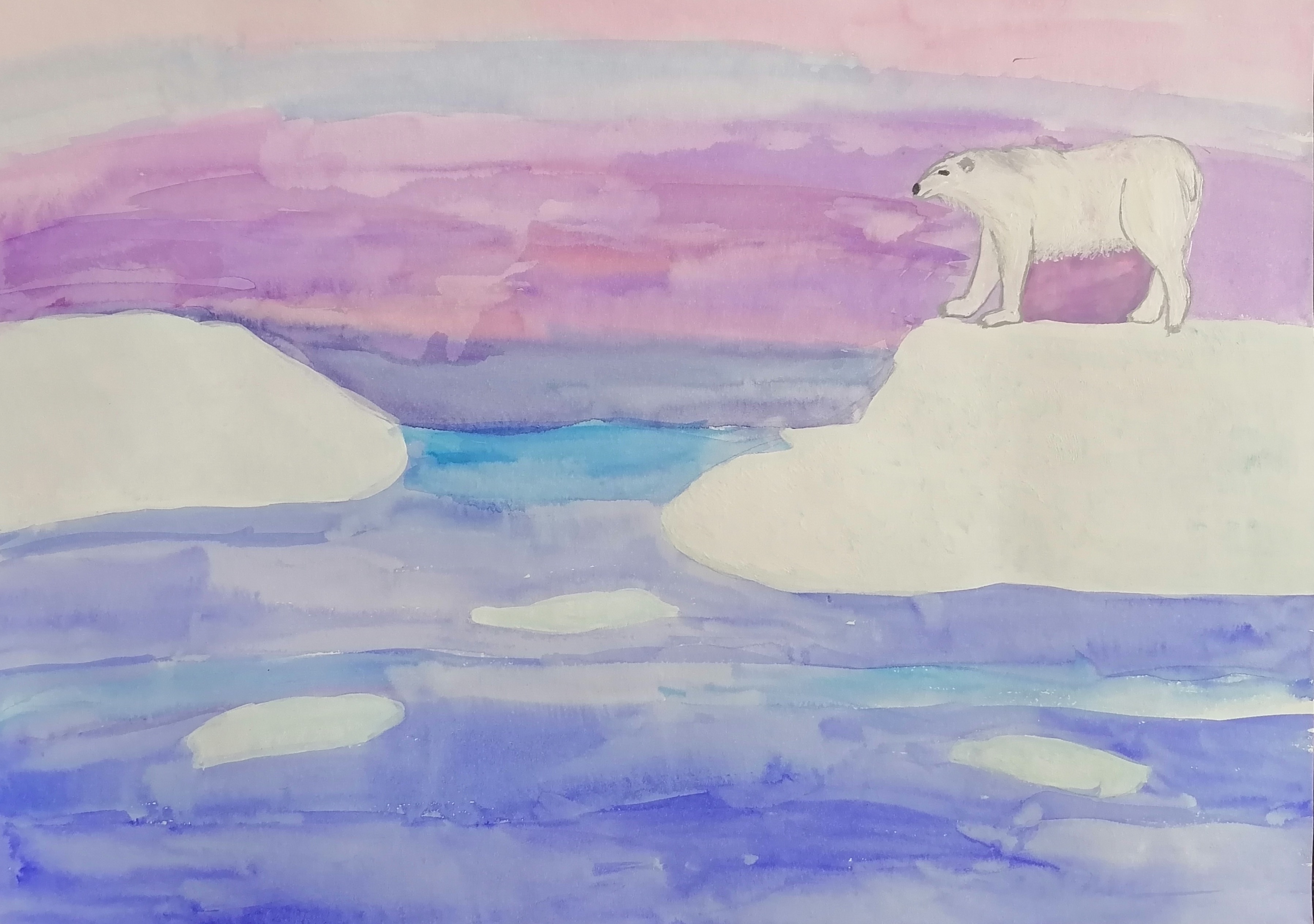 Краски Арктики