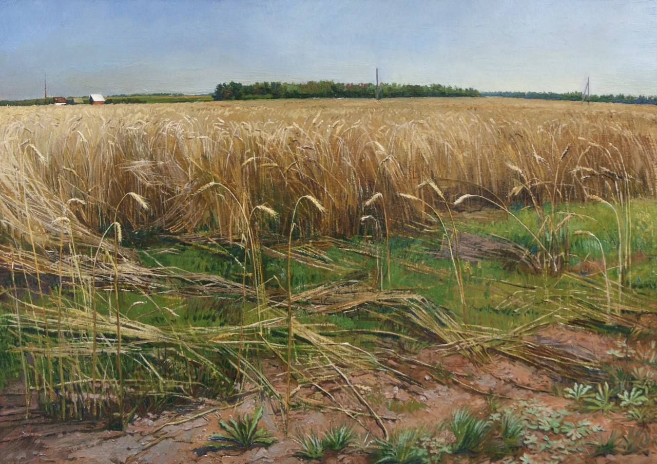 "Пшеничное поле. Байсубаково"